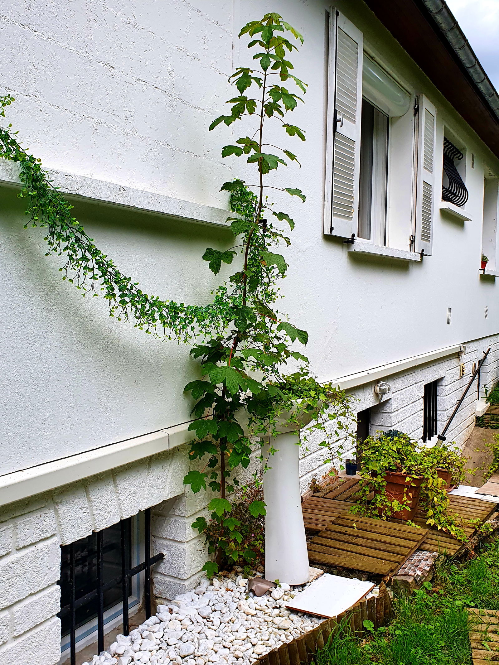 Gastfamilie Ris-Orangis 266385