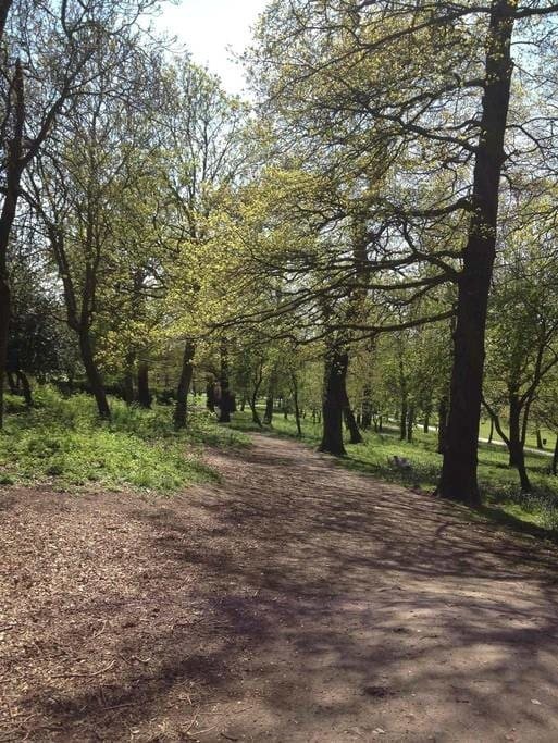 Homestay London 86704
