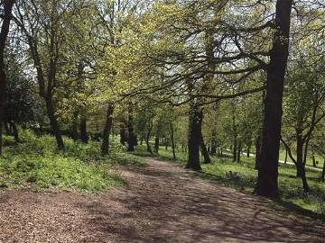 Chambre Chez L'habitant London 86704-13