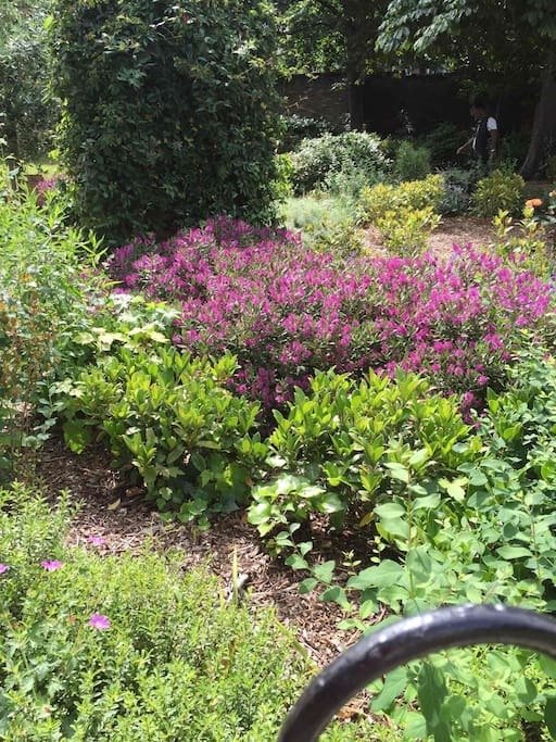 Homestay London 86704
