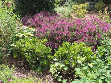 Chambre Chez L'habitant London 86704-14
