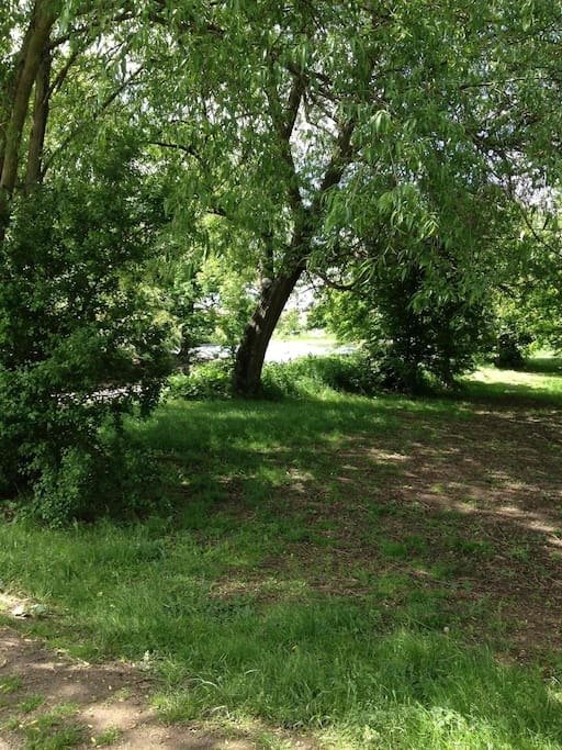 Homestay London 86704