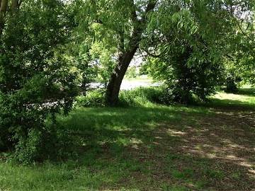 Chambre Chez L'habitant London 86704-15
