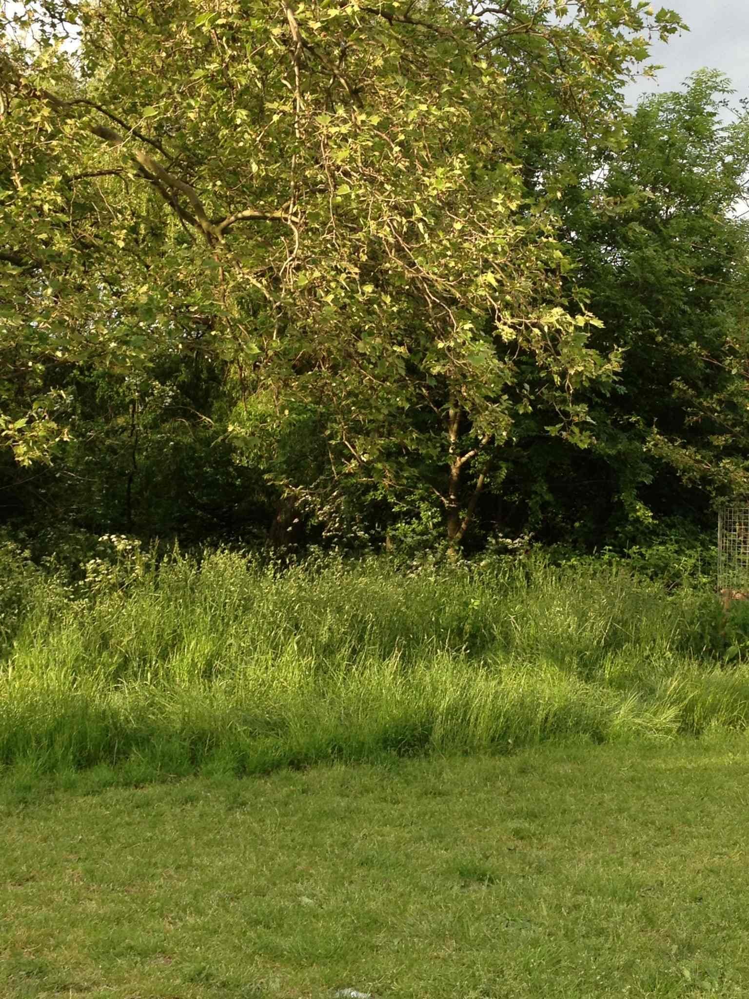 Homestay London 86704