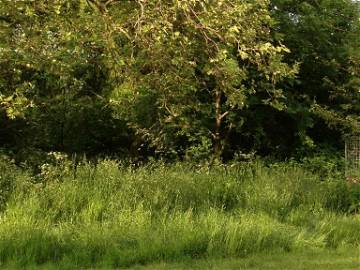 Chambre Chez L'habitant London 86704-16