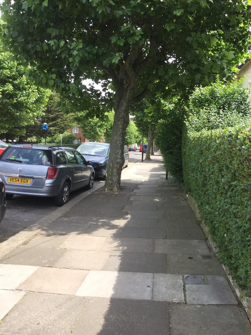 Homestay London 86704