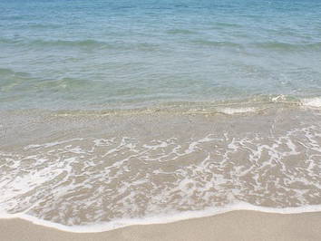 Logement Entier Venzolasca 170153-17