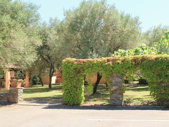 Logement Entier Venzolasca 170153-18