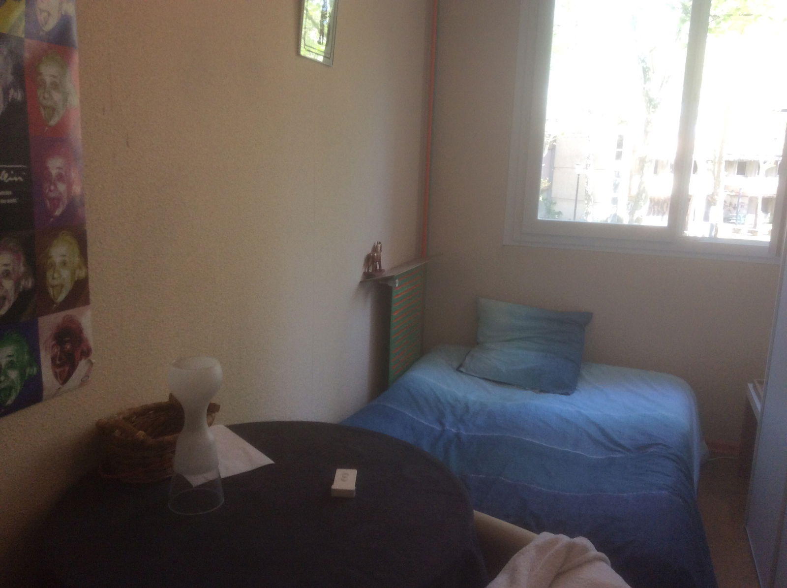 Homestay Vaulx-en-Velin 200900