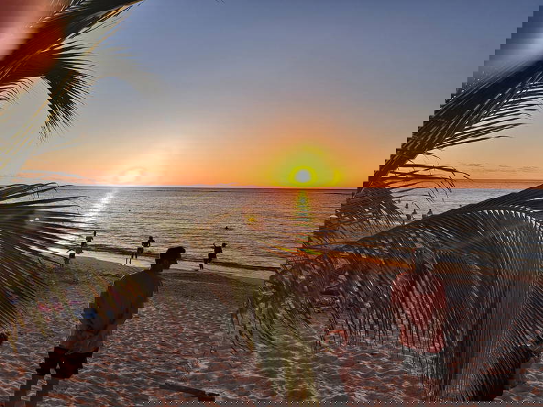 Gastfamilie Flic en Flac 363230-3