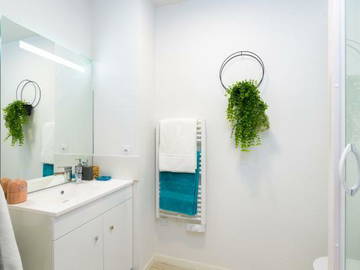 Logement Entier Toulouse 256982-4