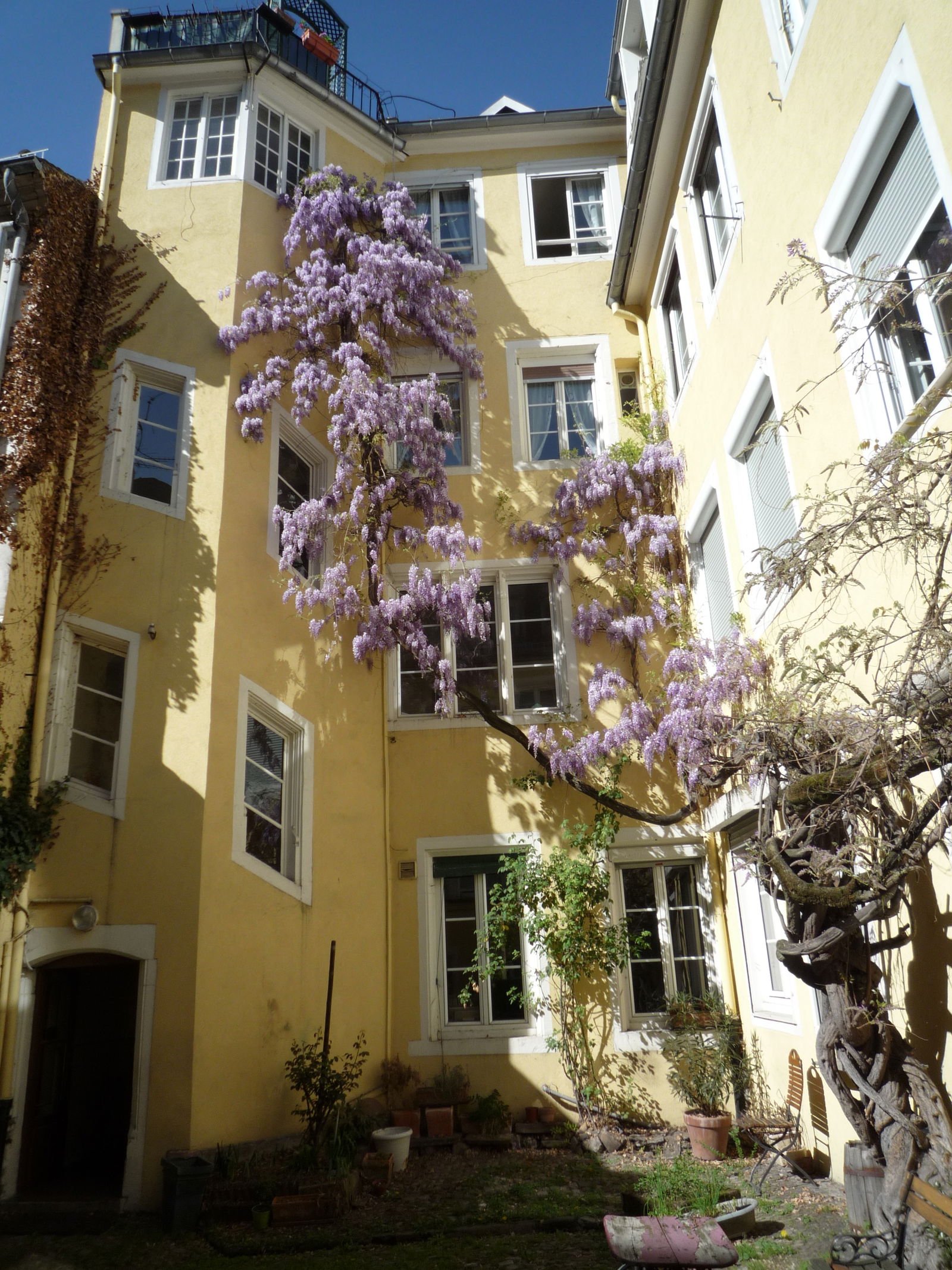 Entire Home Strasbourg 58507