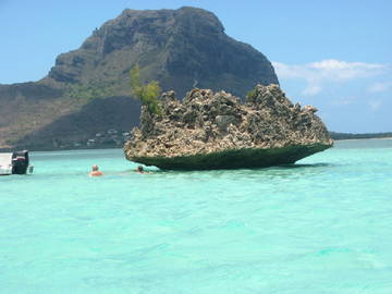 Logement Entier Flic En Flac 176558-9