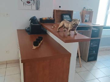 Chambre Chez L'habitant Fleury-Sur-Orne 330657-9