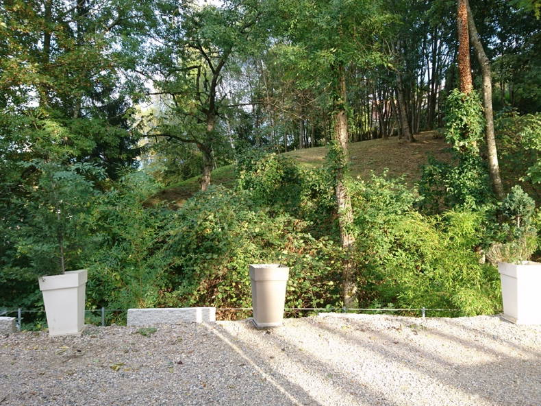 Ganzes Haus Archamps 227703-4