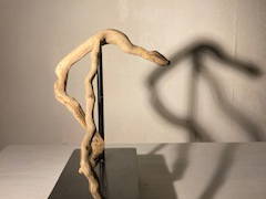 Logement Entier Montreuil 392231-4