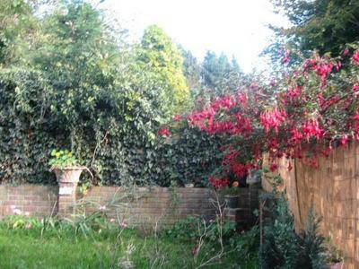 Chambre Chez L'habitant ME5 0TF 204028-3