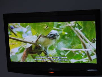 Chambre Chez L'habitant Sra. Da Hora 343770-11