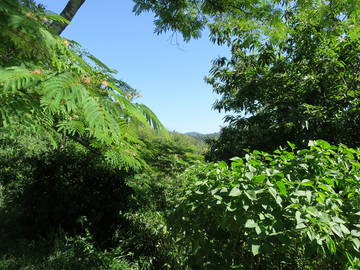 Logement Entier Mandagout 238759-11