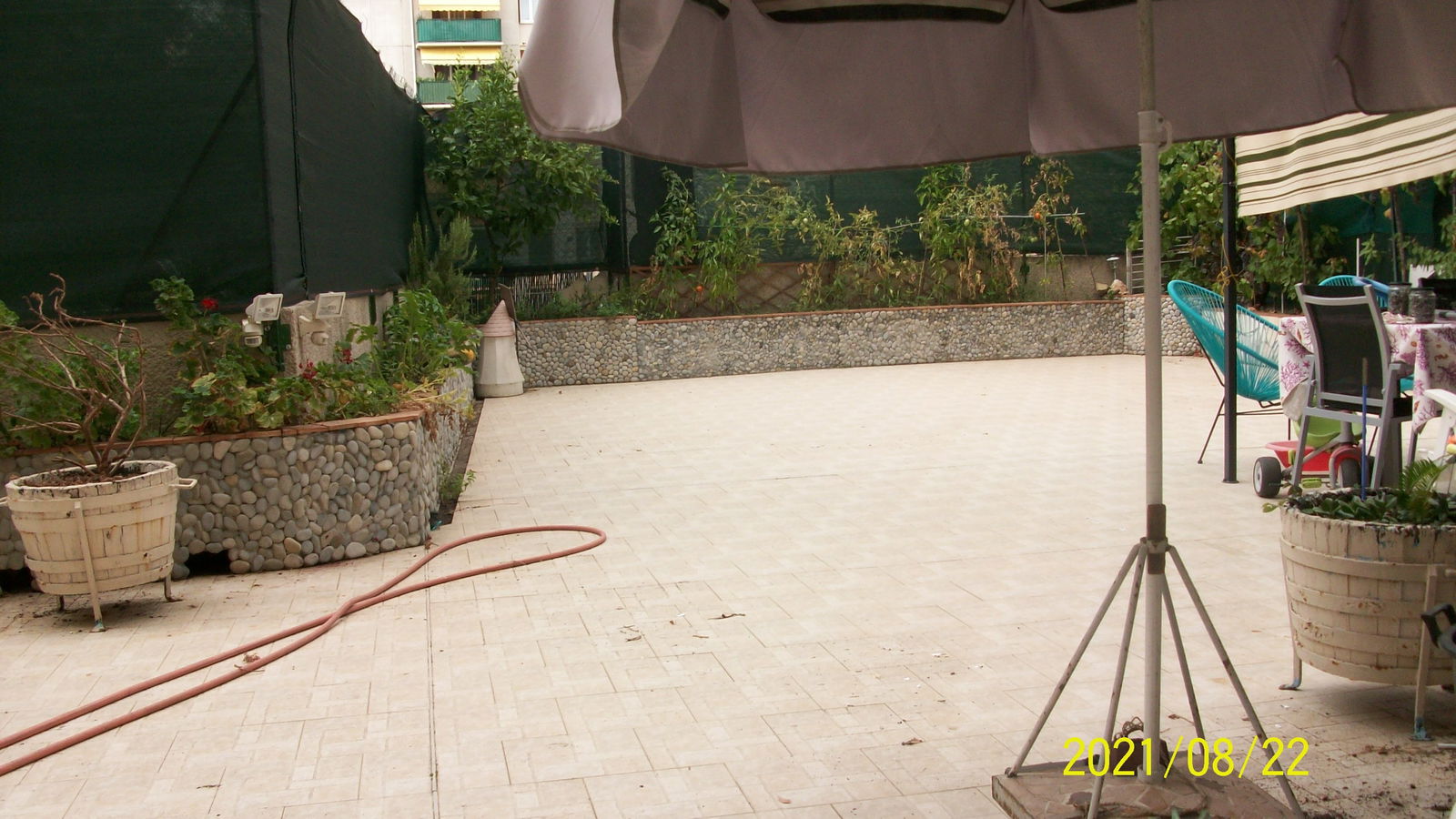 Homestay Nice 250599