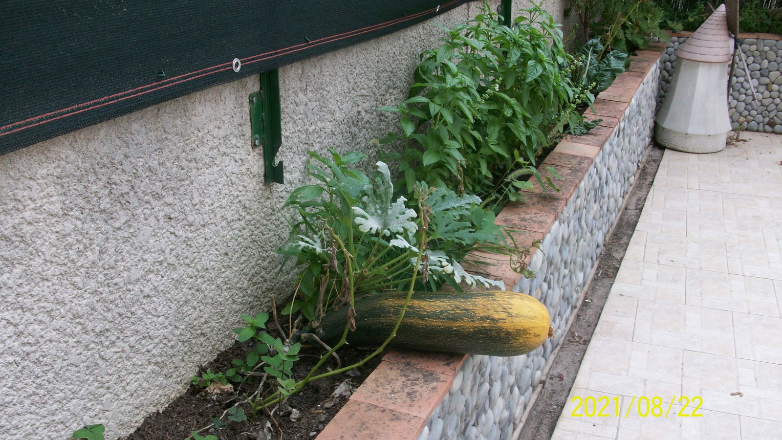 Homestay Nice 250599