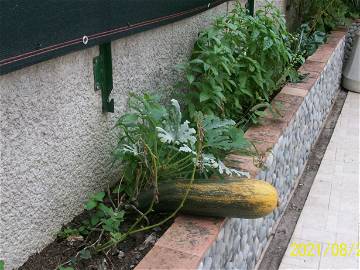 Chambre Chez L'habitant Nice 250599-9