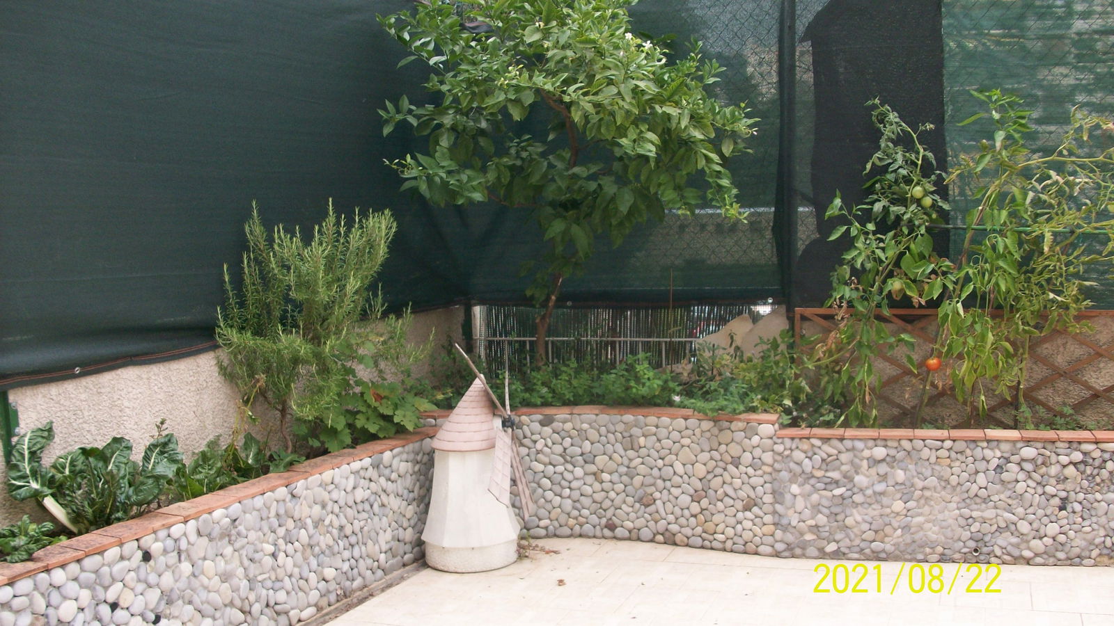 Homestay Nice 250599