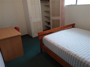 Room For Rent Auckland 168501-1