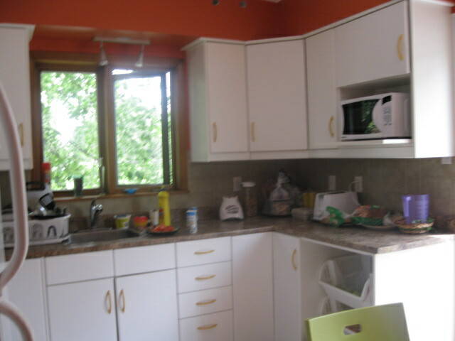 Kolokasie Montréal 3659-3