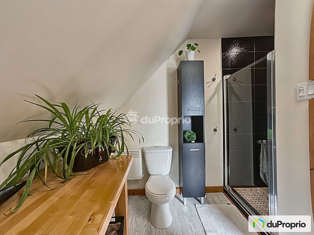 Independent Studio Ascot Corner 316476