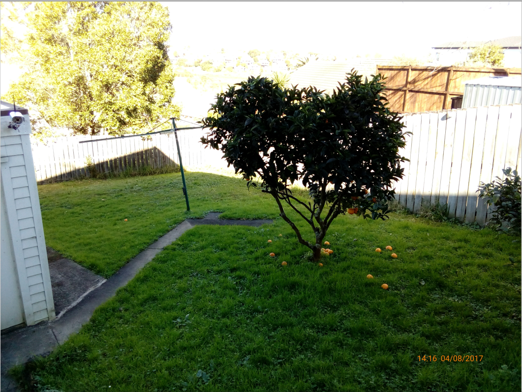 Homestay Auckland 120276