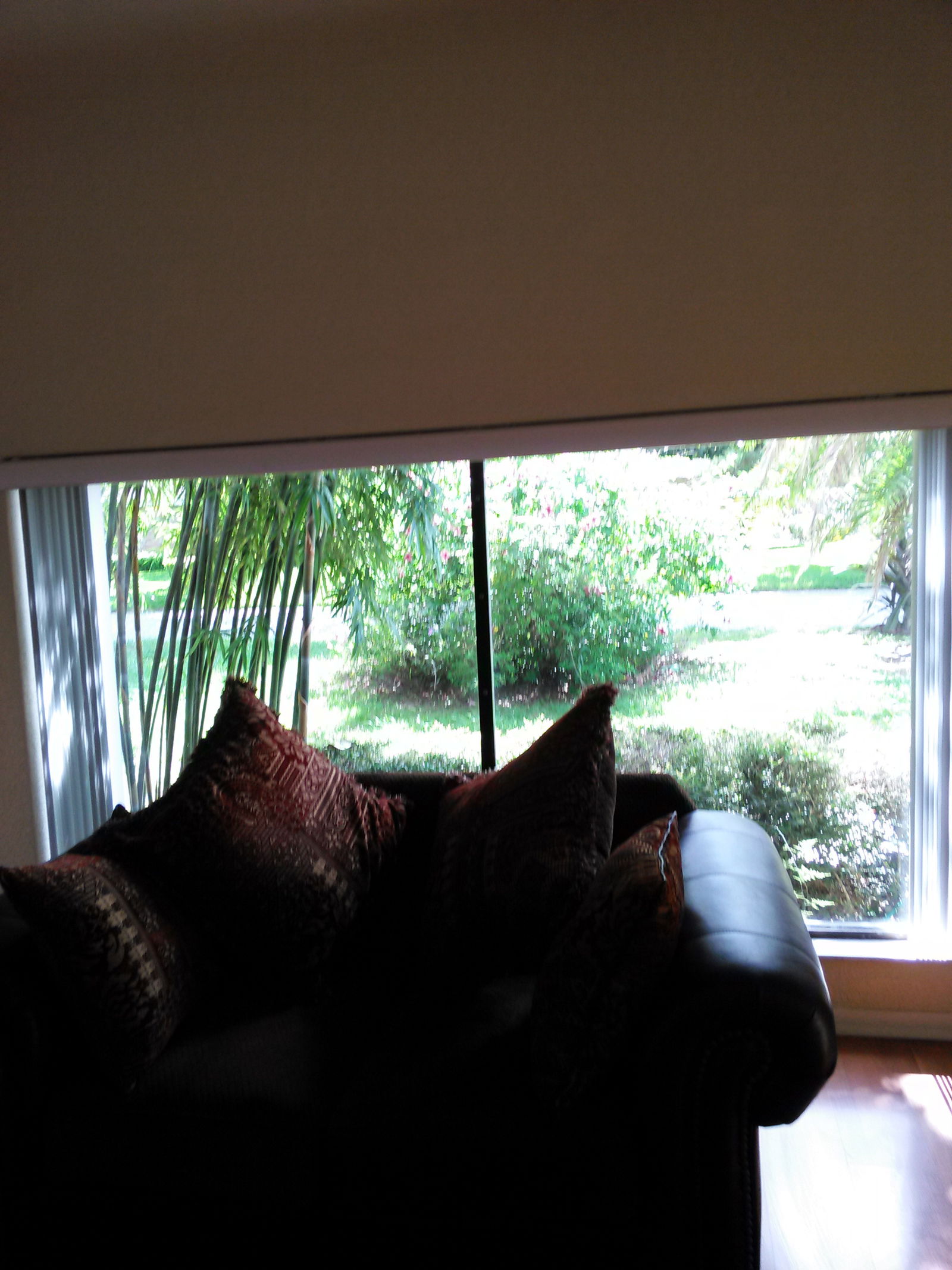 Homestay Seffner 117047