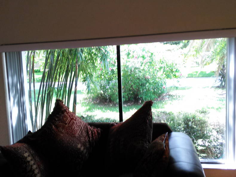 Gastfamilie Seffner 117047-1