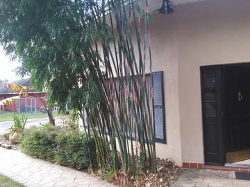 Chambre Chez L'habitant Seffner 117047-4