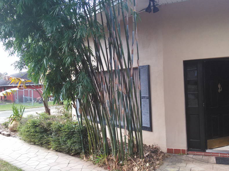 Gastfamilie Seffner 117047-4