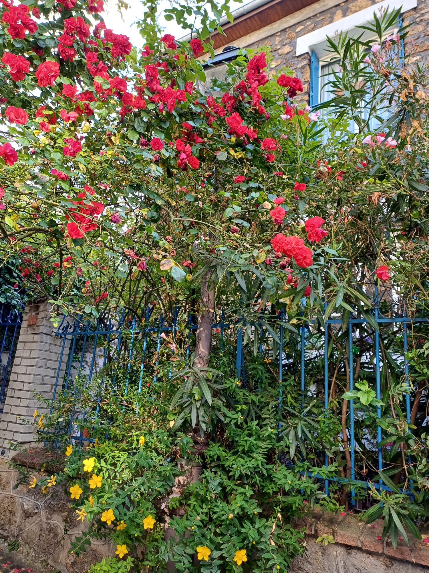 Homestay Paris 662625