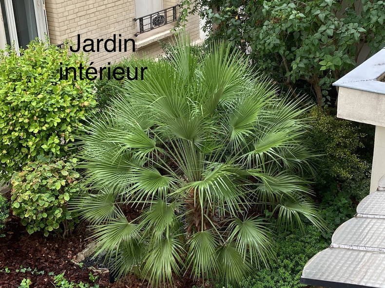 Colocation Montrouge 252960-3