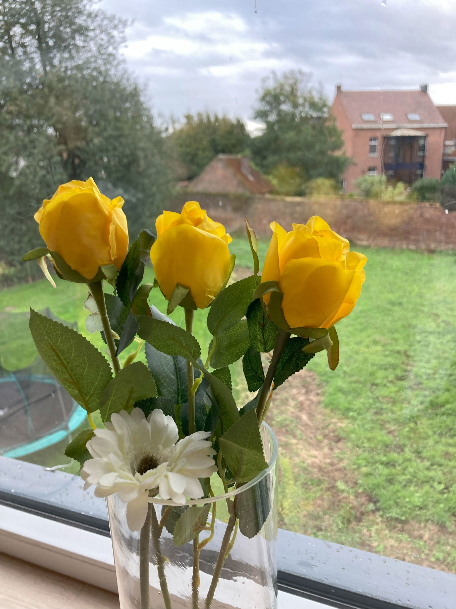 Homestay Enghien 302247