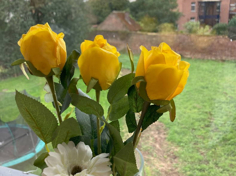 Homestay Enghien 302247-3