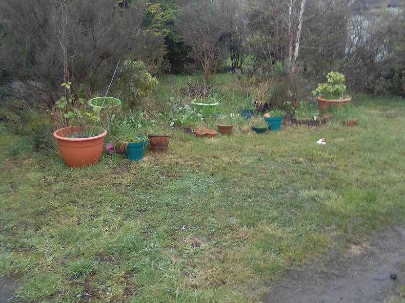 Gastfamilie Spézet 263844-4