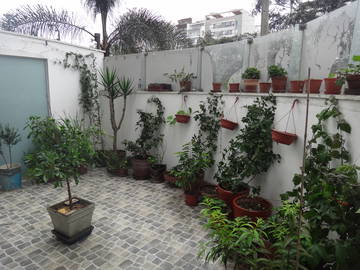 Room For Rent Santiago De Surco 226324