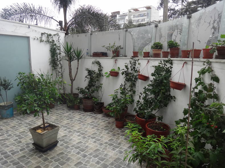 Homestay Santiago de Surco 226324-3