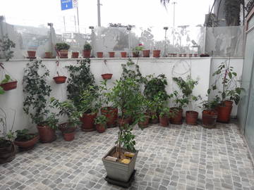 Chambre Chez L'habitant Santiago De Surco 226324-4