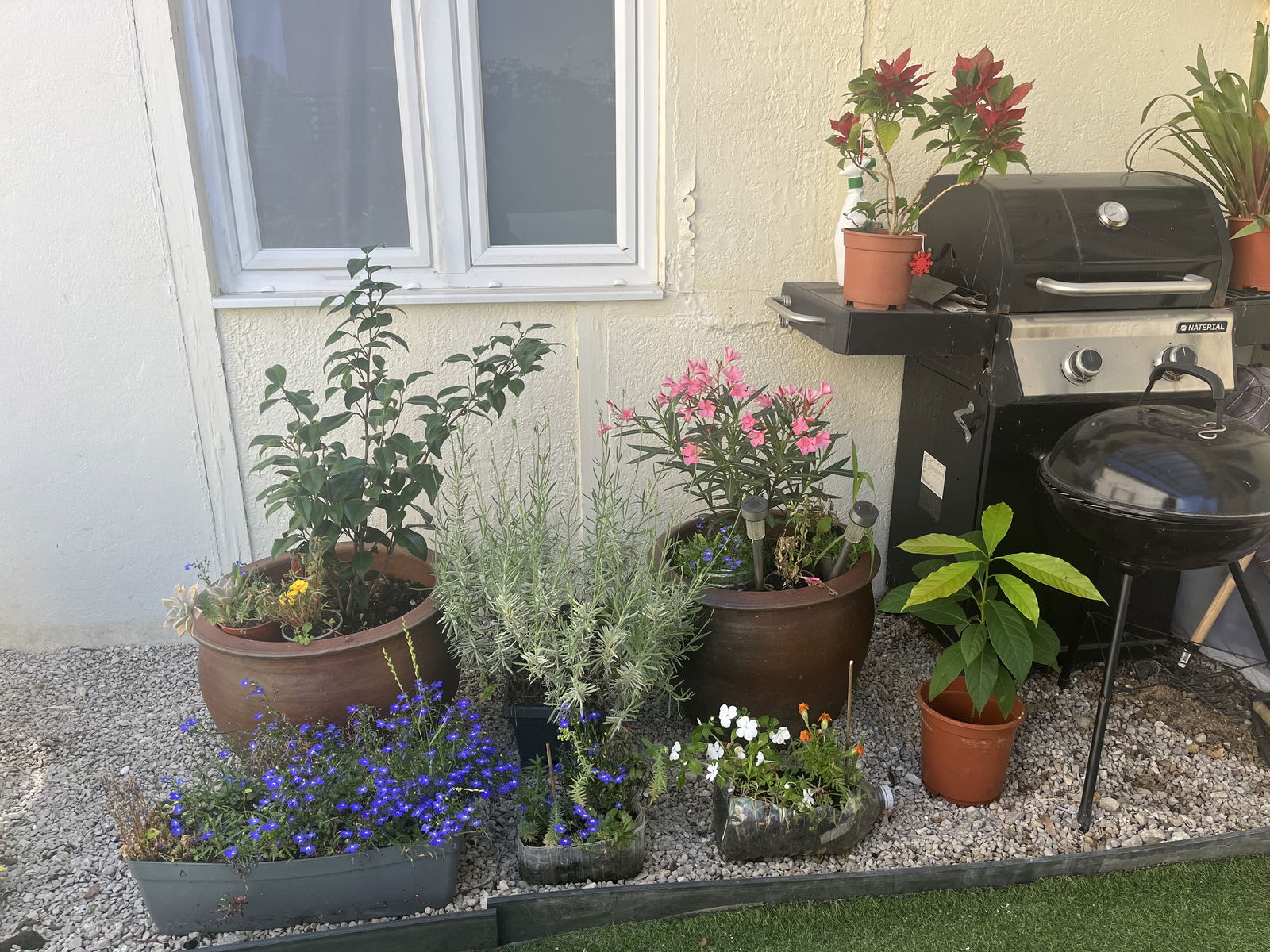 Colocation Athis-Mons 256998