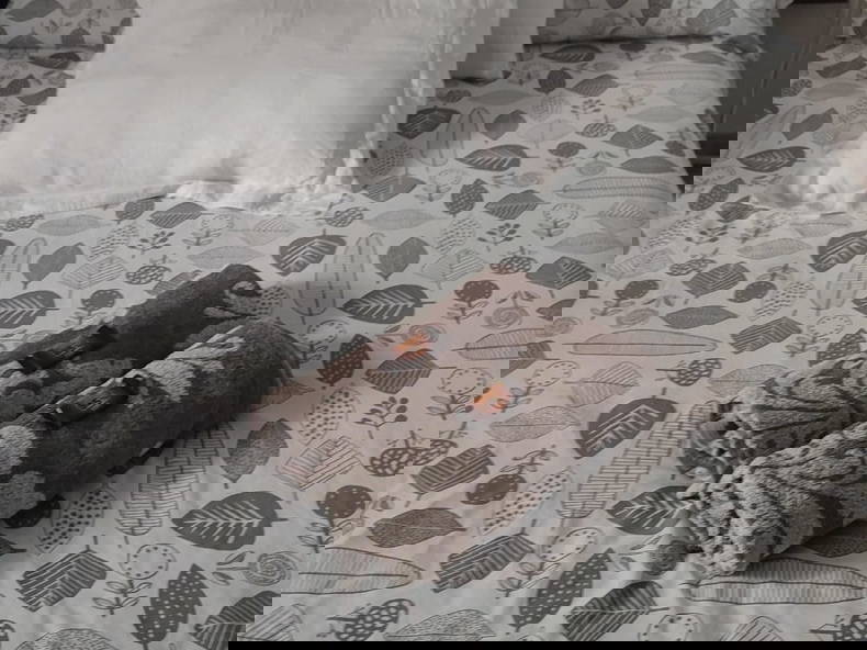 Homestay Granada 326191-1