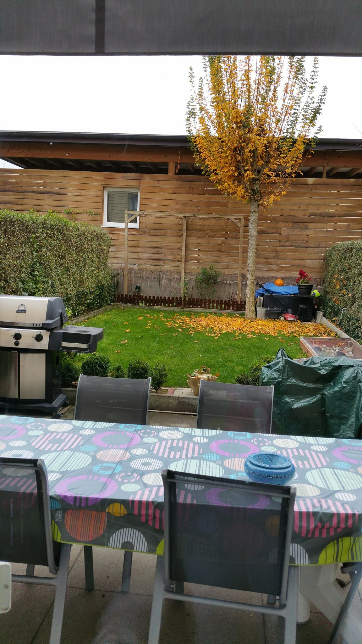 Homestay Collex-Bossy 164794