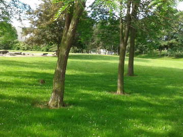 Chambre Chez L'habitant Cergy 328703-8