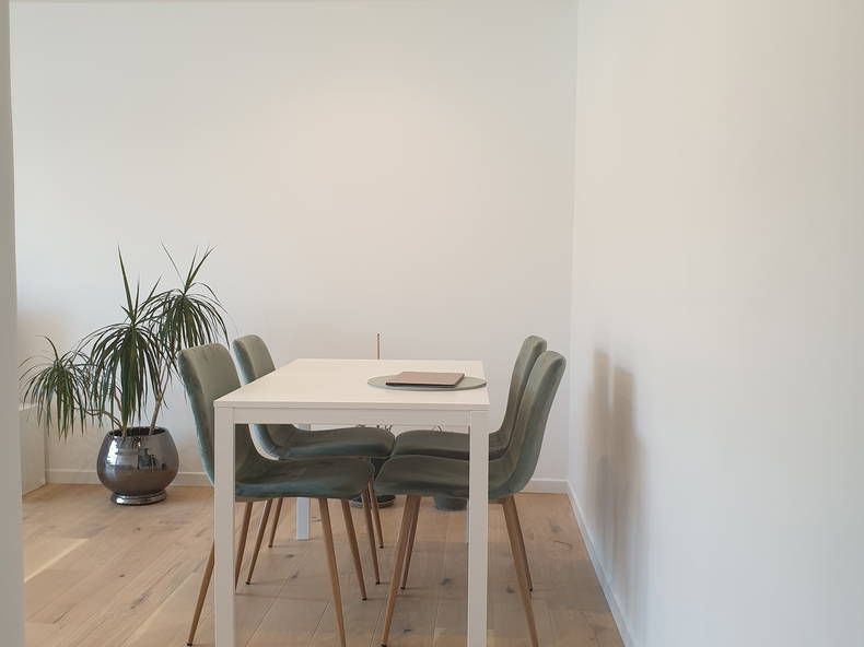 Colocation Saint-Julien-en-Genevois 234231-5