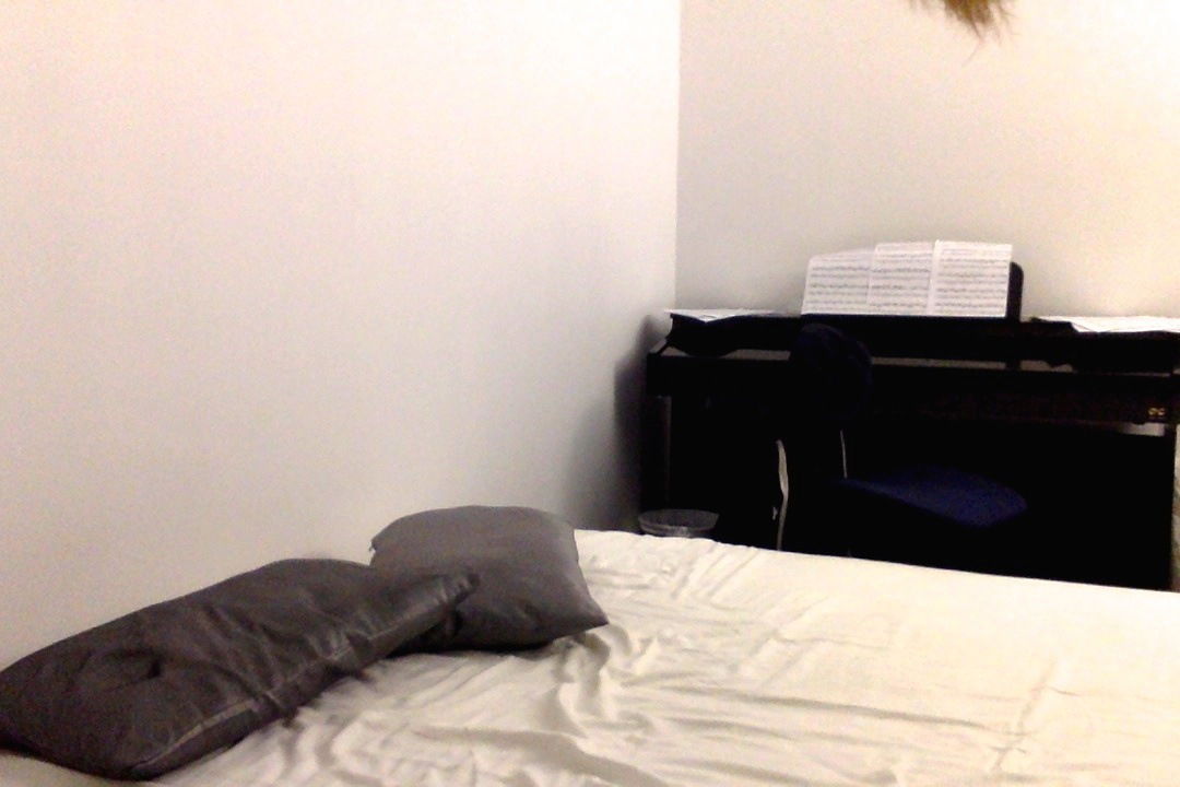 Homestay Les Ulis 88339