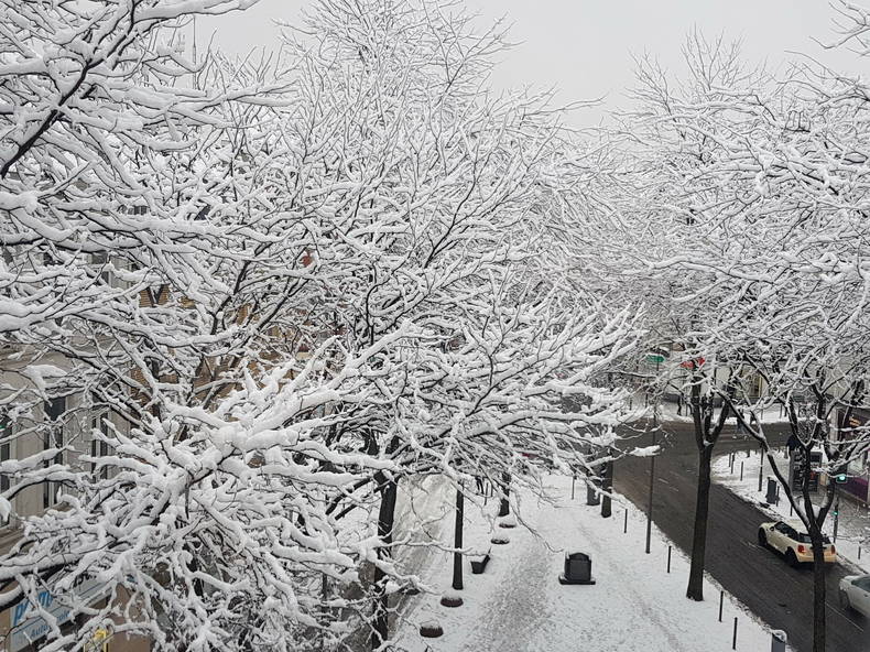 Hela Huset Lille 244067-2